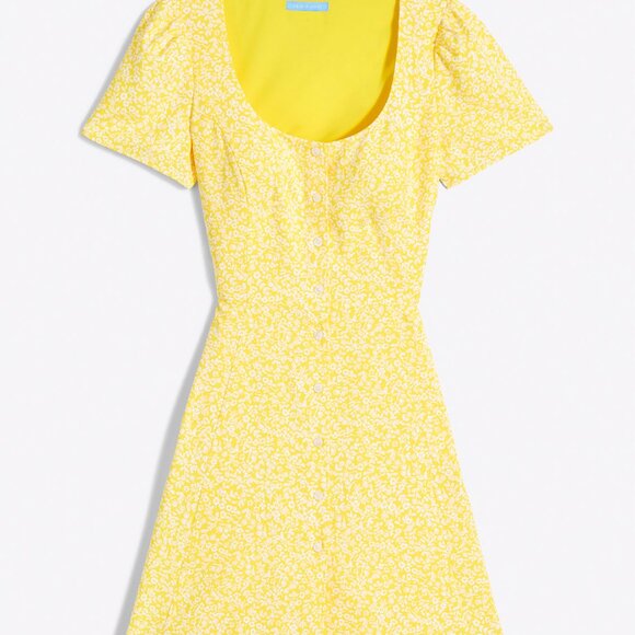 James Draper Bonnie Mini Dress in Golden Floral - Picture 2 of 2